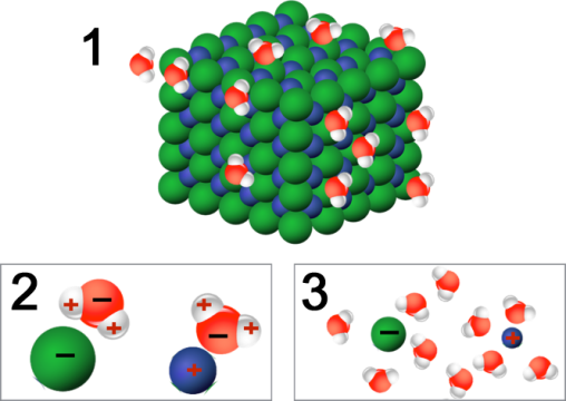 Les trois étapes de la dissolution du sel dans l'eau.